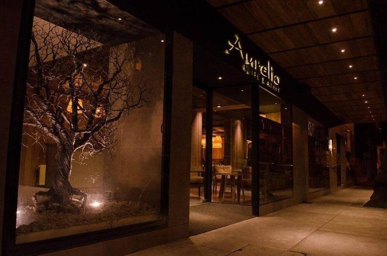Aurelio Hotel & Apart Concepción Exterior foto